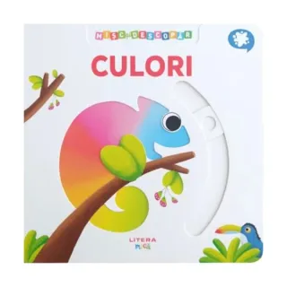 Mișc și descopăr. Culori