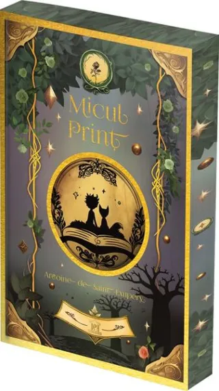 Micul prinț - cu folio și canturi ilustrate