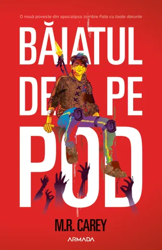 Băiatul de pe pod