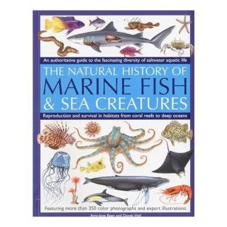The Natural History Of Marine Fish Sea Creatures An Authoritative Guide To The Fascinating Diversity Of Saltwater Aquatic Life, Amy-Jane Beer, Derek Hall