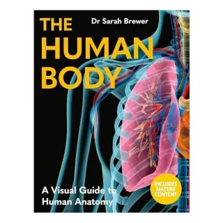 Human Body