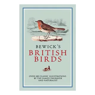 Bewicks British Birds