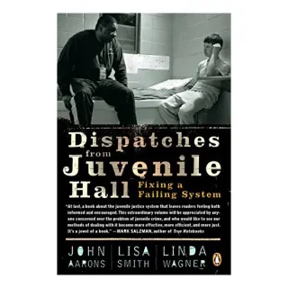 Dispatches from juvenile hall