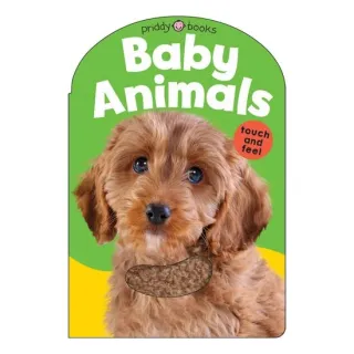Baby Animals