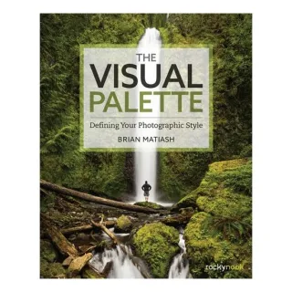 The Visual Palette: Defining Your Photographic Sty(...)