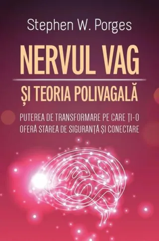 Nervul Vag și Teoria Polivagală
