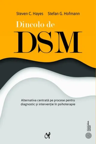 Dincolo de DSM