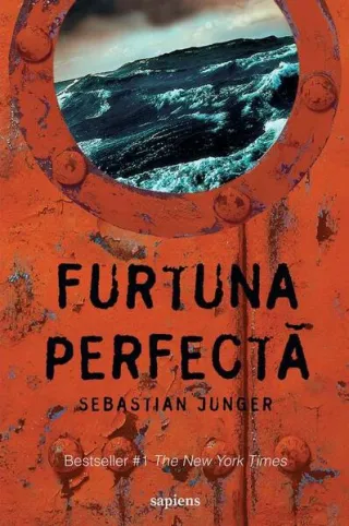 Furtuna perfectă