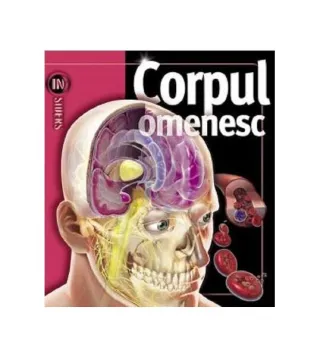 Corpul omenesc. Insiders