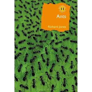 Ants: The ultimate social insects (British Wildlife Collection)