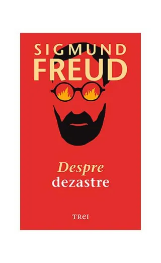Despre dezastre