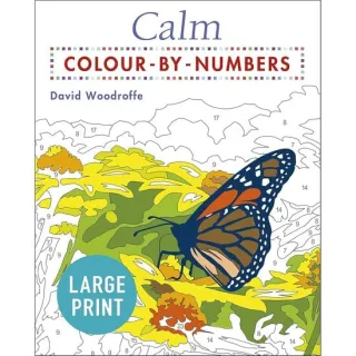 Arcturus Large Print Colour by Numbers Collection.