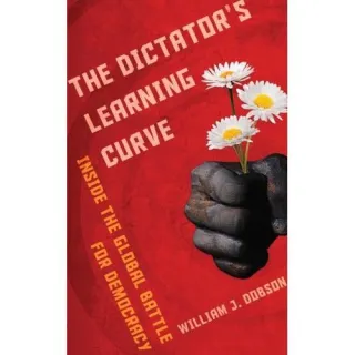 The Dictator's Learning Curve