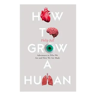 How to Grow a Human
