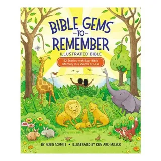 Illustrated Bible