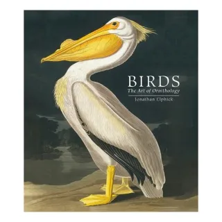 Birds: The Art Of Ornithology (Pocket Edition)