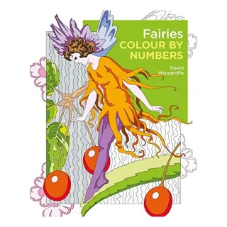 Fairies Colour by Numbers