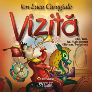 Vizită