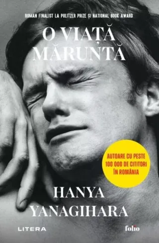 O viață măruntă (Folio)