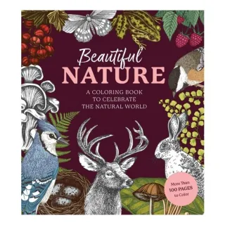 Beautiful Nature Coloring Book