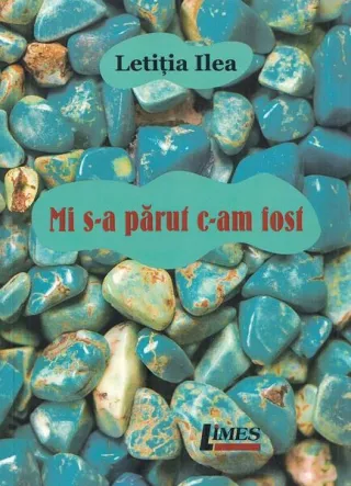 Mi s-a părut c-am fost