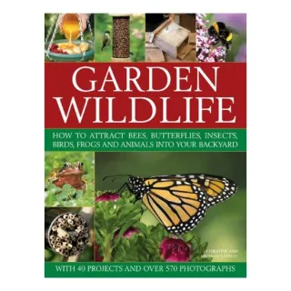 Garden wildlife, Christine Lavelle