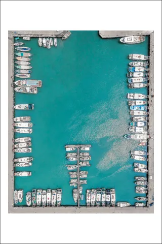 Postcard Alex Gâlmeanu 16