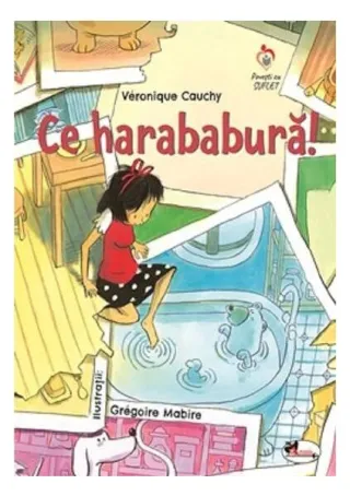 Ce harababură!