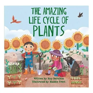 Look & Wonder: Amazing Life Cycle Of Plants