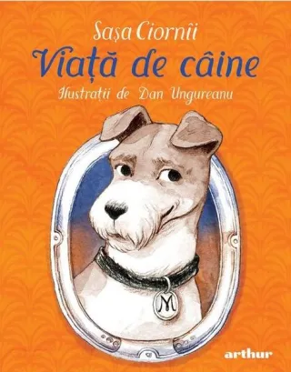 Viață de câine