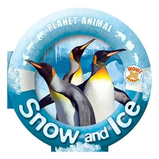 Snow and Ice