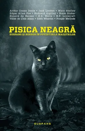 Pisica neagră