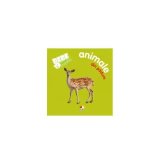 Animale din pădure