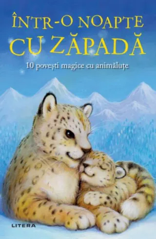 Într-o noapte cu zăpadă