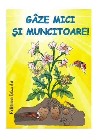 Gâze mici și muncitoare
