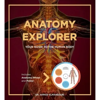 Anatomy Explorer - Your Guide to the Human Body