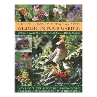 The Best Plants To Attract And Keep Wildlife In Your Garden, Christine Lavelle, Michael Lavelle