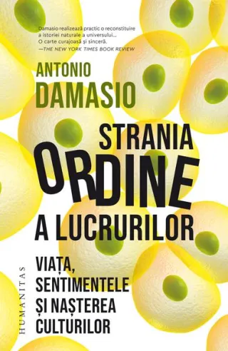 Strania ordine a lucrurilor