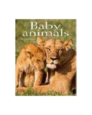 Baby Animals. Pocket Book