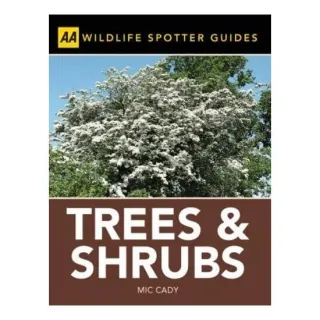 Trees and Shrubs