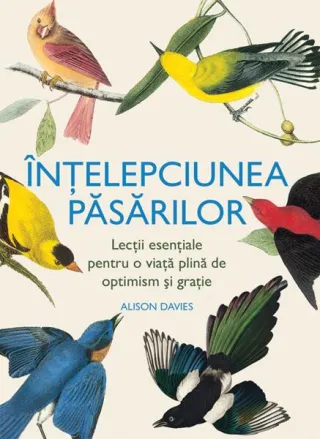 Înțelepciunea păsărilor