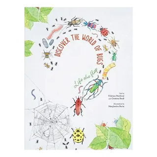 Discover the World of Bugs