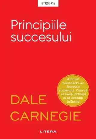 Principiile succesului