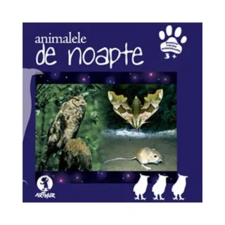 Animalele de noapte
