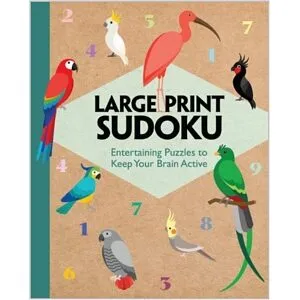 Large Print Sudoku