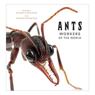 Ants