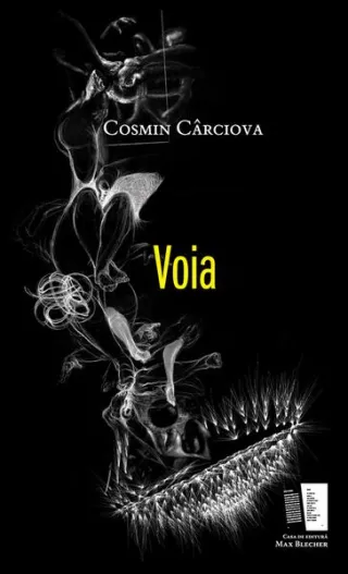 Voia