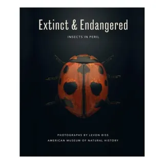Extinct and Endangered Insects in Peril