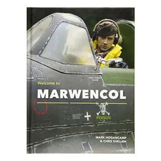 Welcome to Marwencol