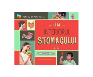 În interiorul stomacului